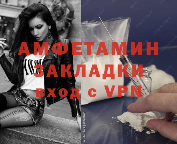 трава Няндома