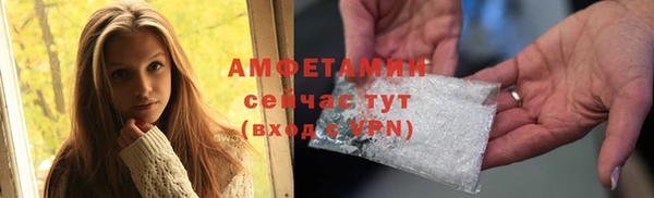 трава Няндома