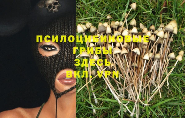мдпв Осинники