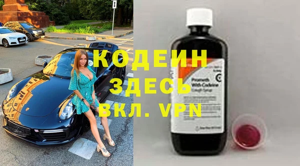 трава Няндома