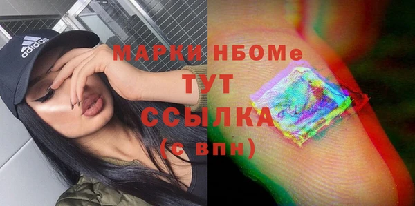 трава Няндома