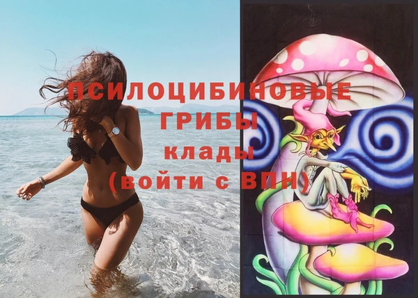 трава Няндома