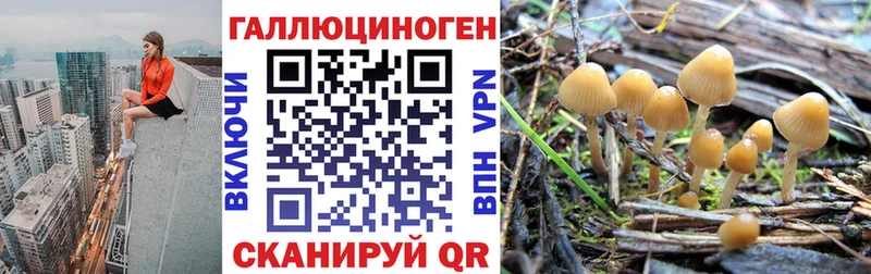 Псилоцибиновые грибы GOLDEN TEACHER  Удомля 
