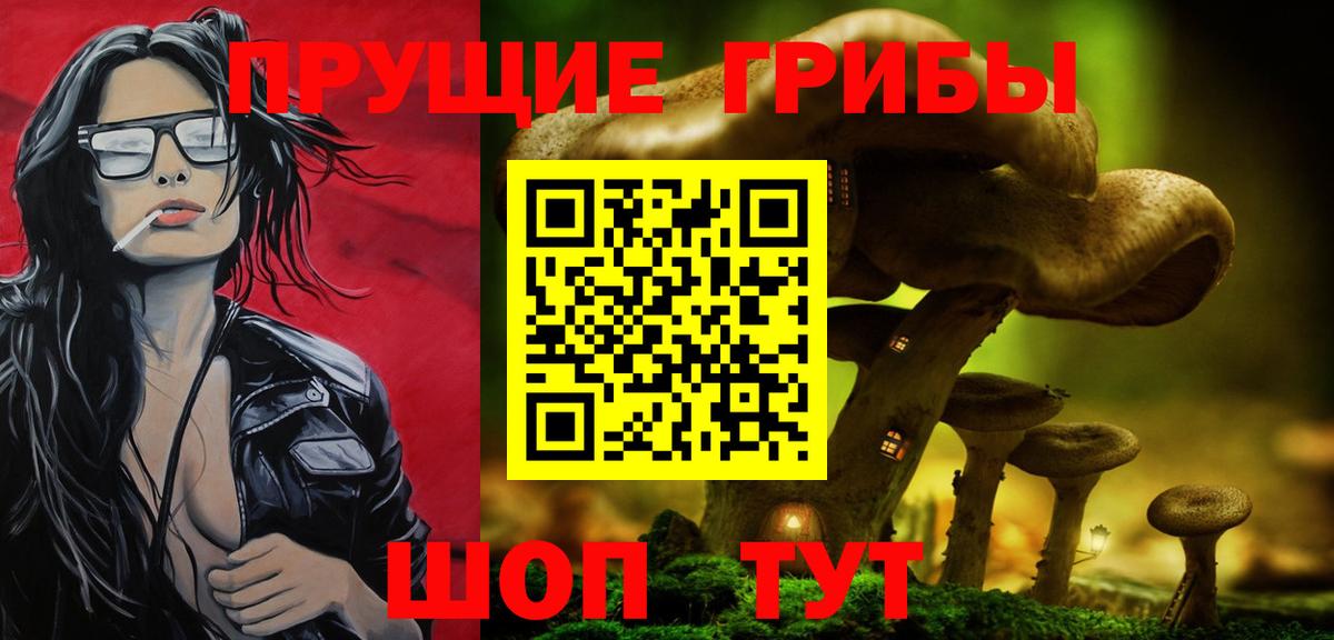 Псилоцибиновые грибы Psilocybe  как найти   Удомля  Вход с VPN 